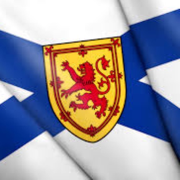 Meet your Posher, Ryan - Picture 1 of 1